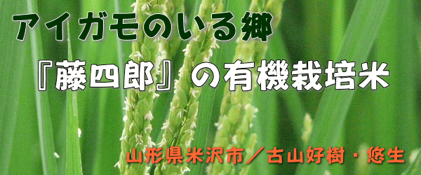 古山米販売