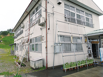 緑のカーテン
