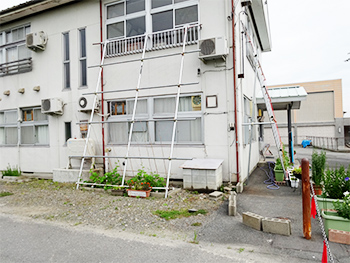 緑のカーテン