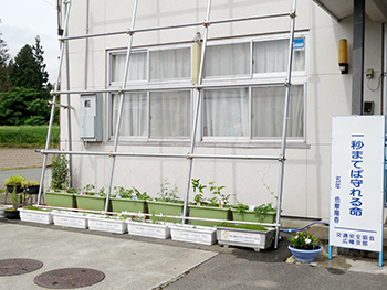 緑のカーテン